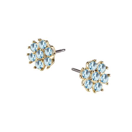 Guess Earrings Blå, Dame Øreringe, Størrelse: ONE Size
