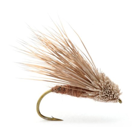 Guideline Streaking Caddis - #10