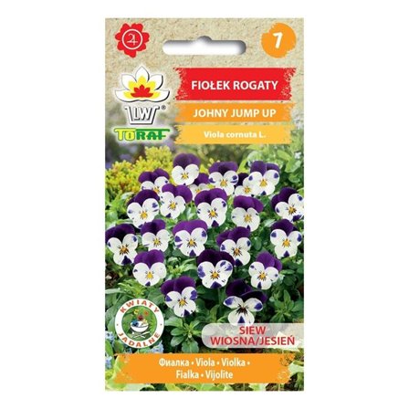 Sarvivioletti siemen Johnny Jump Up - Värikäs ja kukkiva perenna