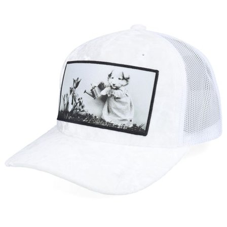 Calza Pennello - Vit trucker Keps - Dog Watering Plant Velvet White/White A-frame @ Hatstore
