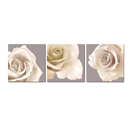 3 kpl/pakkaus Kolmoinen Valkoinen Ruusu Kukka Canvas Seinätaide Kuvat Canvas Painatukset Koti Seinäkoristeluun (30 X 30 Cm)