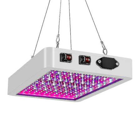 3000w Led Grow Light Hydroponic Full Spectrum Innendørs Planteltelt Light
