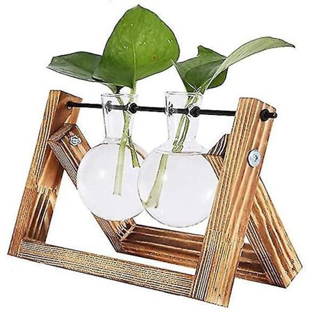 Pærevaser Træstativ Glasplante Kontor Dekoration