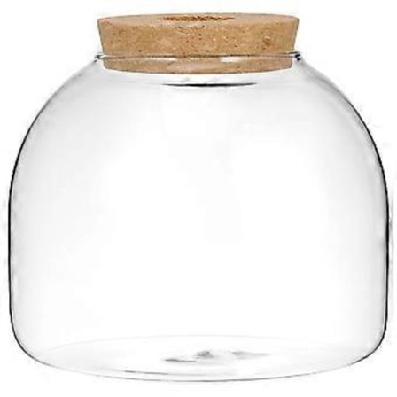 Glas Terrarium Burk med Träpropp Mikro Landskap Behållare Hydroponiska Växter Terrarium