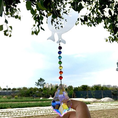 Crystal Prisms Suncatcher Light Catcher 4 4