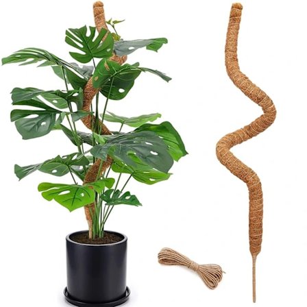|NN| 48 Tommer Mosstang, Høje Mosstænger til Klatreplanter Indendørs, Mosstangsstøtte, Havestøtte Plantepinde til Potteplanter, Pothos