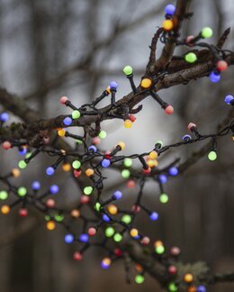 Star Trading Ljusslinga Berry Mini Multi