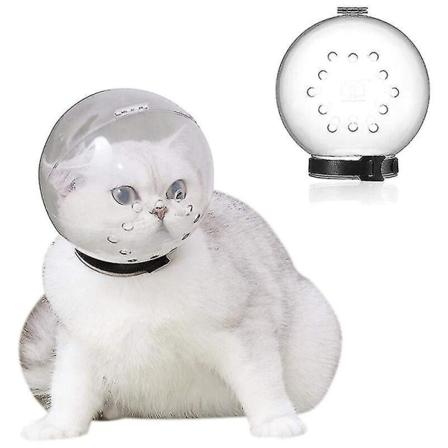 Katt huva sfärisk anti-bit andningsbar transparent anti-slick mask huvudskydd