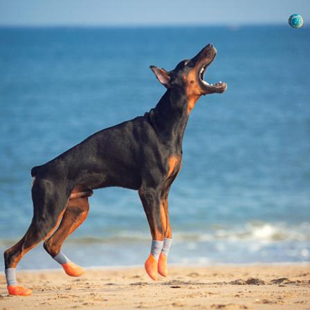 Beskyttende hundestøvler, 4-pak pustende hundsko med refleks