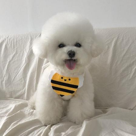 2 stk Kattspytt håndkle Kjæledyrsutstyr Dekorativt nett rødt koreansk stil trekantet perm hundeskjerf Yellow Bee m