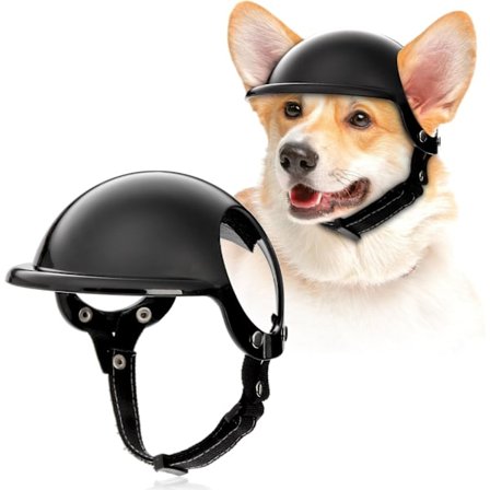 Hjelm for liten hund, motorsykkelhjelm for hunder med ørehuller, sikkerhetshatt for hund med justerbar stropp for utendørs kjøring (svart, liten)