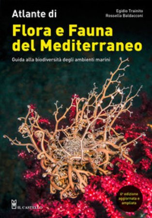 Atlante di flora e fauna del Mediterraneo. Guida alla biodiversità degli ambienti marini. Ediz. a colori Egidio Trainito