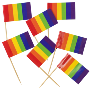 DH95 Dekorasjonsflagg Pride