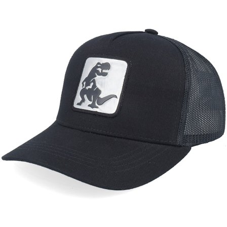 Kiddo Cap - Zwart trucker Cap - Kids Dino Silver Patch Black Trucker @ Hatstore