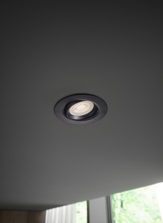 Roar downlight - sort
