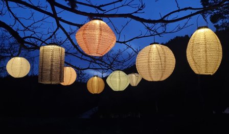 C'est Bon Lanterne Solcelle Cylinder Rosa H33