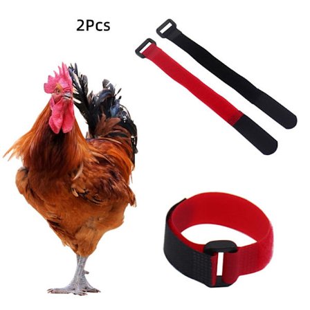 Tupphalsband Anti-Krok Justerbart - Silencieux Poules, 0% Ljud (W)