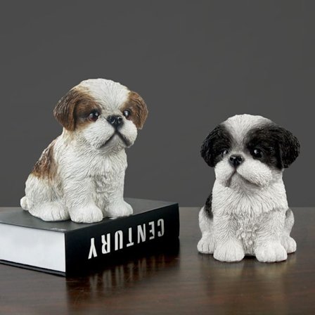 Arts Shih Tzu -pentu, ruskea, valkoinen