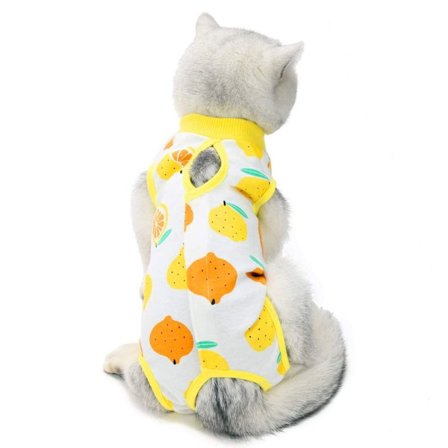 Cat Recovery dragt Båndet kat postoperativ dragt CITRON CITRON