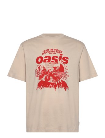 ONLY & SONS | Onsoasis Ss Rlx Tee | M