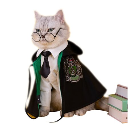 Halloween kostymer husdjur Cape