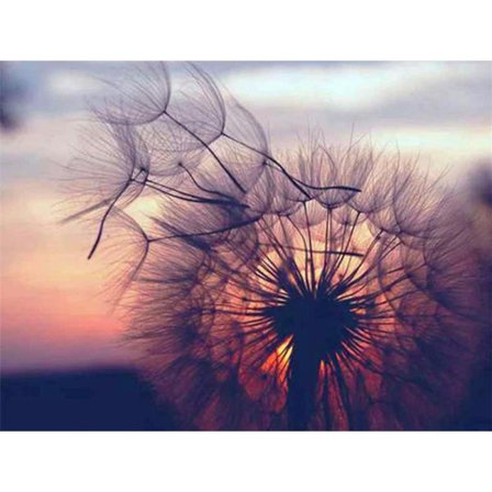 30 x 40 cm, Voikukkakenttä Timanttimaalaus Timanttikirjonta Maalaus Kangas 5d Maalaus Lapsi Aikuinen Strassit Paljon Palapeli Piirustus Seinäkoriste 