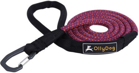 OllyDog Mountain Leash WildAster