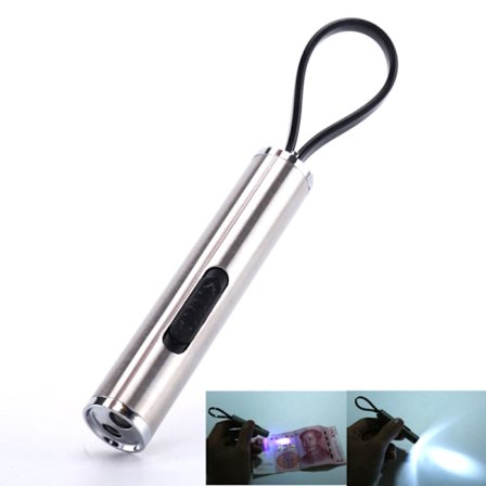 2 i 1 Silver Interactive LED Light Pen Pointer Ficklampa För