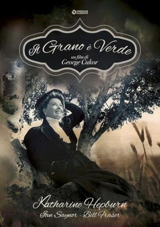 Grano E' Verde (Il) (1979)