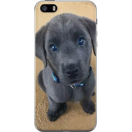 Kompatibel Mobilcover til Apple Apple iPhone SE (2016) Grå hvalp med store blå øjne sidder med uskyldigt udtryk blød pels og charmerende detaljere