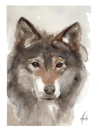 Nordic Wild Kunsttrykk Ulv 30x40cm Akvarellpapir