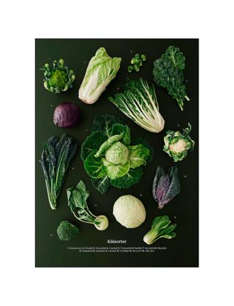 Kalsorter Home Decoration Posters & Frames Posters Photographs Multi/mønstret Supermercat