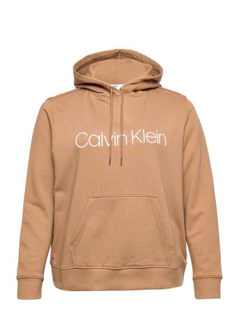 Inclusive Core Logo Ls Hoodie Hoodie Beige Calvin Klein