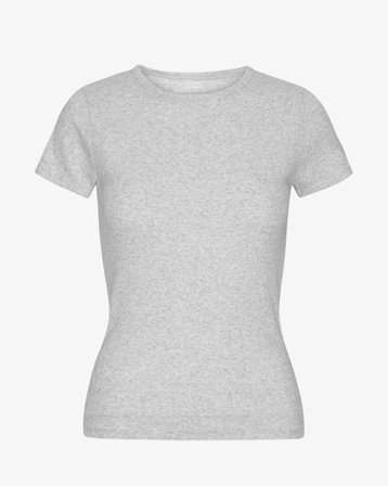 Organic Rib T-Shirt - Snow Melange - Female - L