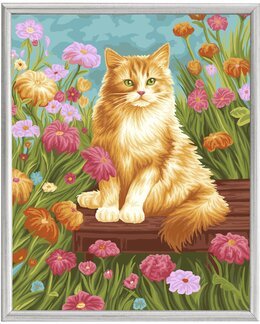 Paint By Numbers Katten