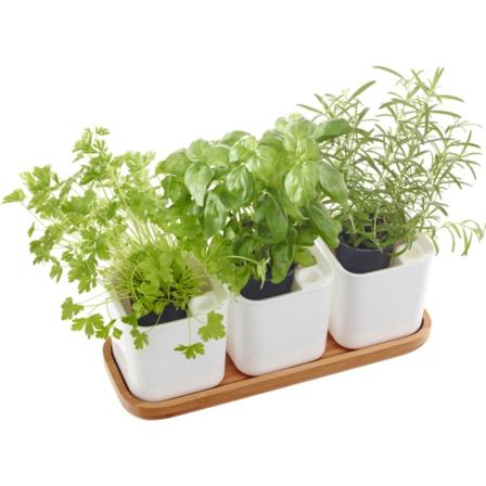 Örtkrukor Eden set 3 st m bricka12 cm Orthex White