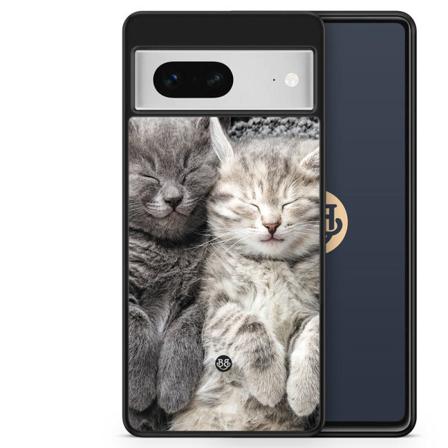 Bjornberry Skal Google Pixel 7 - Vilande Katter