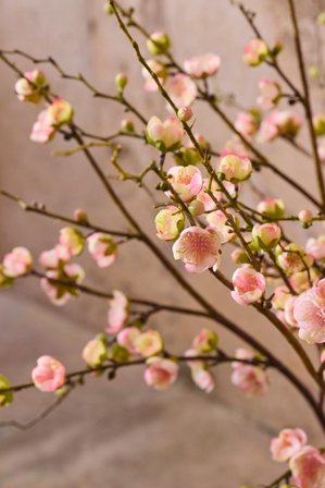 Mr Plant Kunstig Plommeblomst Rosa H120