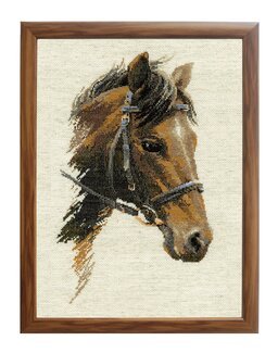 Bild Cosmos - Riolis