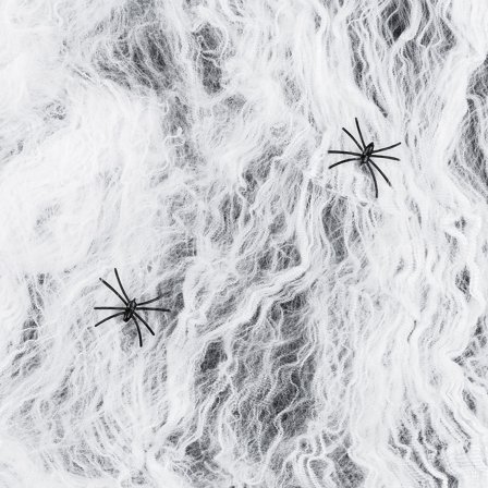 Hämähäkinverkko Hämähäkeillä 200g