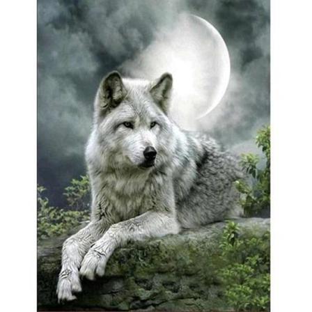 Diamond Painting Fyrkantiga Pärlor 50x70 Cm 5d Diy Varg Månsken Multifärg