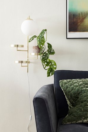 Globen Lighting - Vegglampe Astoria - Messing - Vegglamper - Fra Homeroom