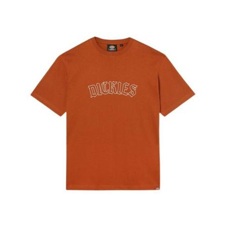 Dickies, Union Springs T-Shirt Oranje, Heren, Maat:M