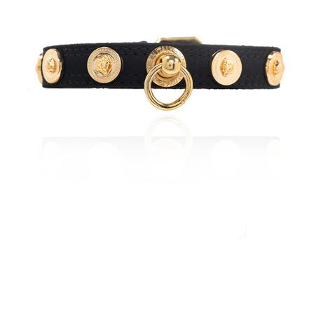 Versace, Medusa Collar and Leash Set Zwart, unisex, Maat:S