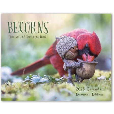 Årskalender med udsøgte detaljerede fugle, Becorns – Fuglekunsten i kalendere (LGL)