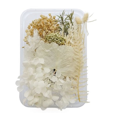 Miljøvenlige tørrede blomster til DIY håndværk boligindretning smuk udsøgt