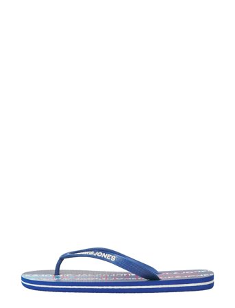Jack & Jones | Jfwlogo 2.0 Flip Flop | 42-43