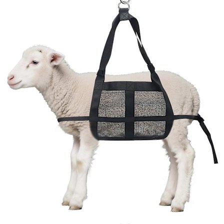 Kalveslynge til vejning, gedesele dyrebærer født husdyrslynge med justerbare stropper til vejning af hunde grise