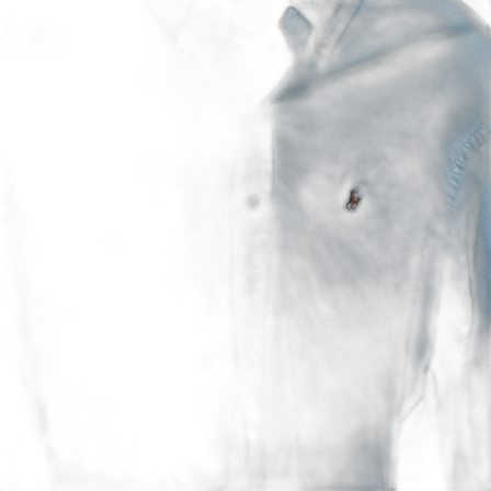 Ralph Lauren skjorta