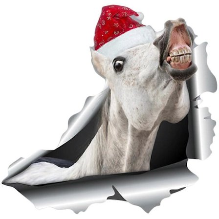 Magnetisk Rolig Bil Klistermärke Dekorativ Bil Dekal Bil Parodi Klistermärke